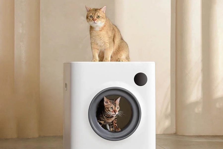 litter boxes for multiple cats