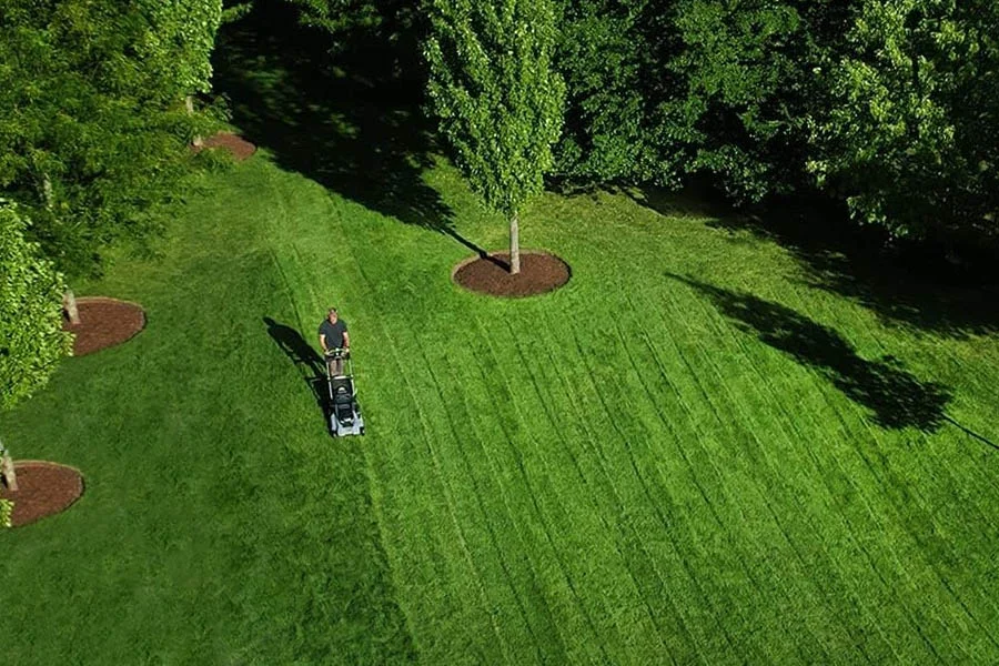 best electric lawmower